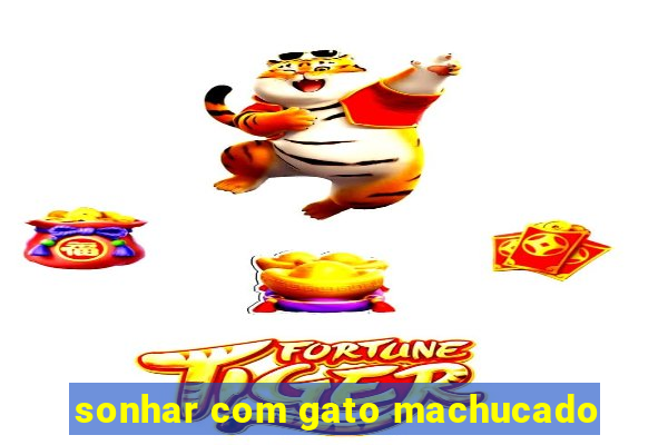 sonhar com gato machucado